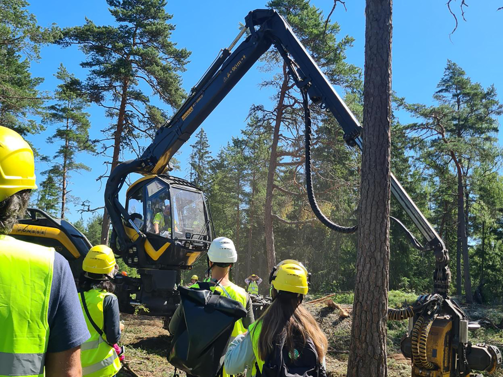Forestry professionals observe a mechanical harvester lifting a tree in a sunny Swedish forest. The demonstration highlights advanced machinery used in sustainable forest management, emphasizing practical application of bioenergy production techniques.