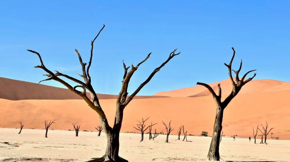 Dead Vlei sand dunes, Sossusvlei, Namibia