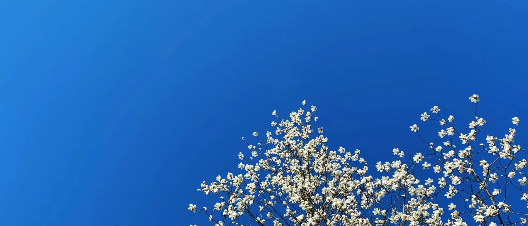A blue sky