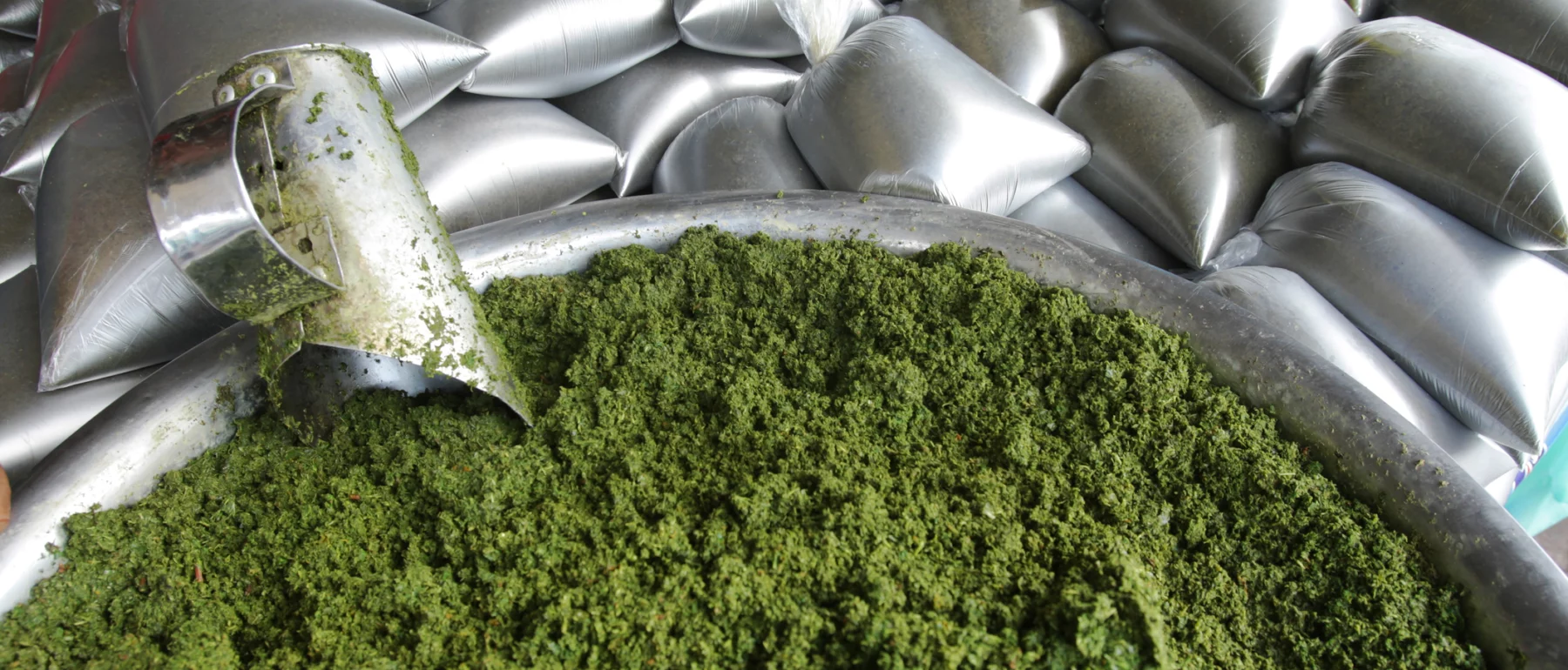 Silver-colored plastic bags are stacked behind a metal bowl filled with green pulp, with a metal scoop perched on top.