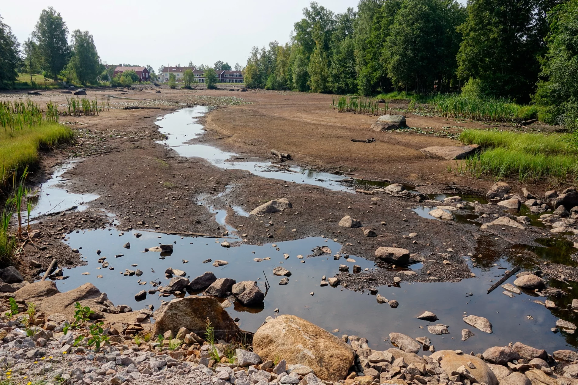 A dried up pond in a community in the summer