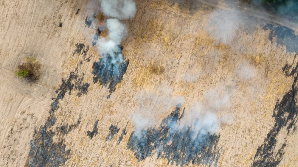 Aerial view of agriculture farm with smoke from crop fire burning releases carbon dioxide. Greenhouse gas. Farmers burn crop residues after harvest to prepare land. Air pollution. Environmental issue