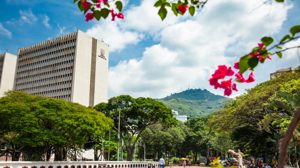 A scenic view of a sunny plaza in Cali, Colombia, with lush green trees, colourful flowers, and the towering Farallones de Cali mountains in the background. The plaza is framed by a tall modern building, and a few pedestrians are strolling.