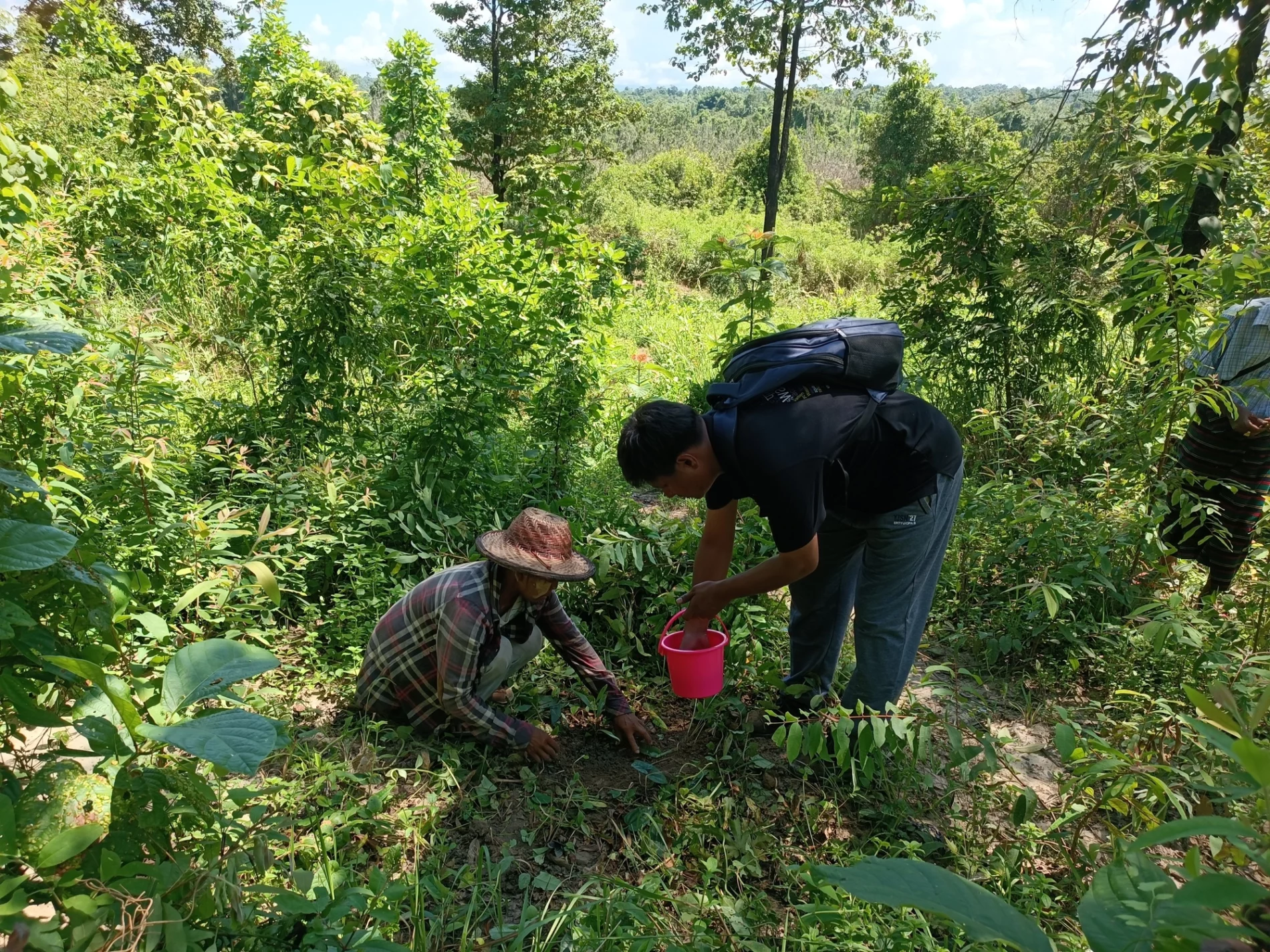 Two individuals planting indigenous species in a lush, green wetland area. One person, wearing a hat and a plaid shirt, is kneeling down, placing a plant into the soil, while the other, wearing a backpack and holding a pink bucket, assists by watering or providing support. The background is filled with dense vegetation, trees, and undergrowth under a bright, sunny sky.