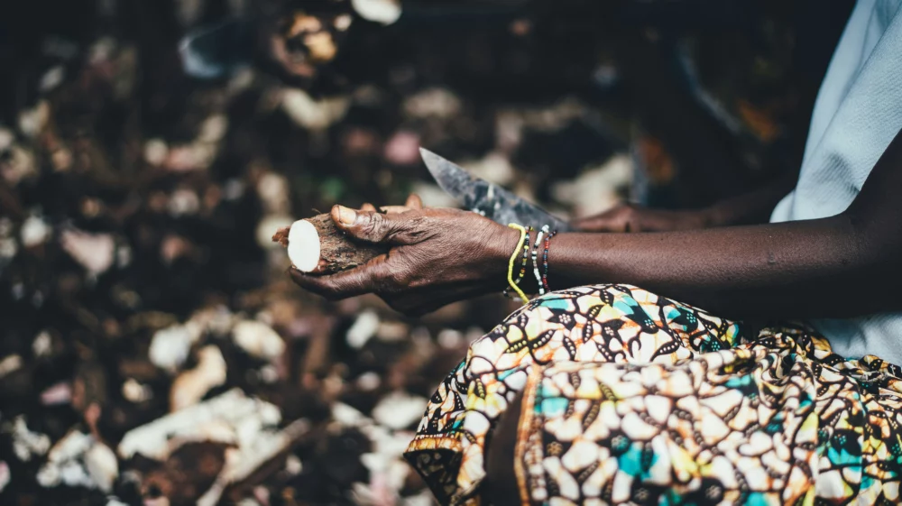 Person carving cassava using knife