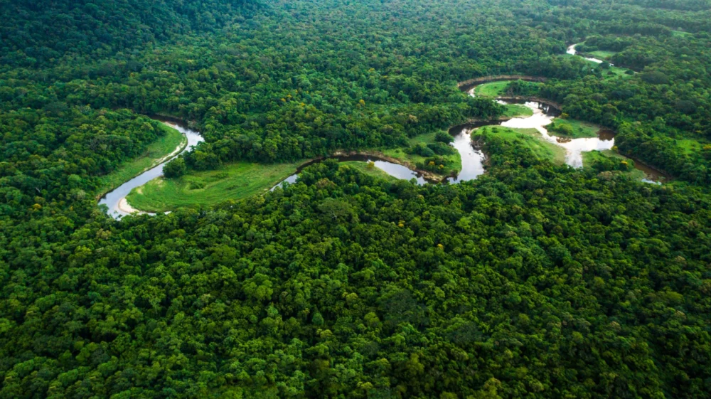 The Mata Atlântica, once stretched up-and-down Brazil's coastline, and covered parts of Paraguay, Uruguay, and Argentina.