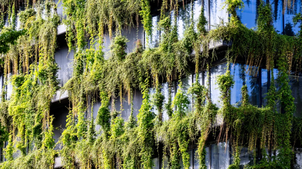 A modern building facade in Baden-Württemberg, Germany, covered in lush green plants, showcasing an integration of nature with urban architecture.