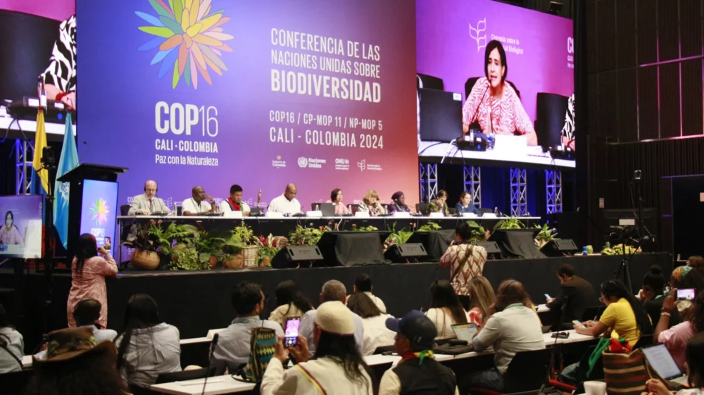 A panel of speakers sits on stage at the