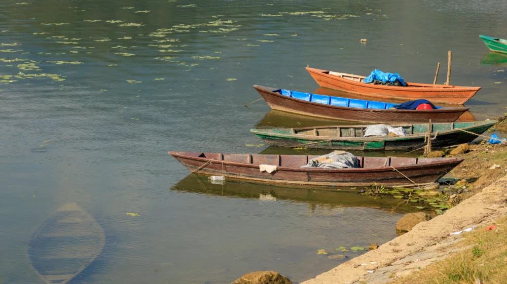 Boats