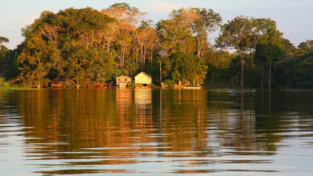 Amazon River and its reflections