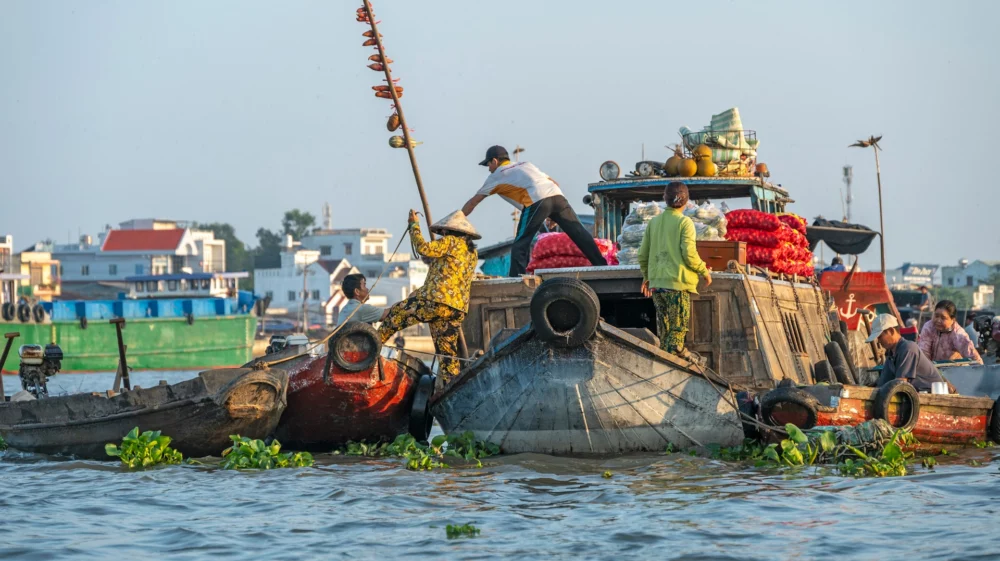 Mekong Delta