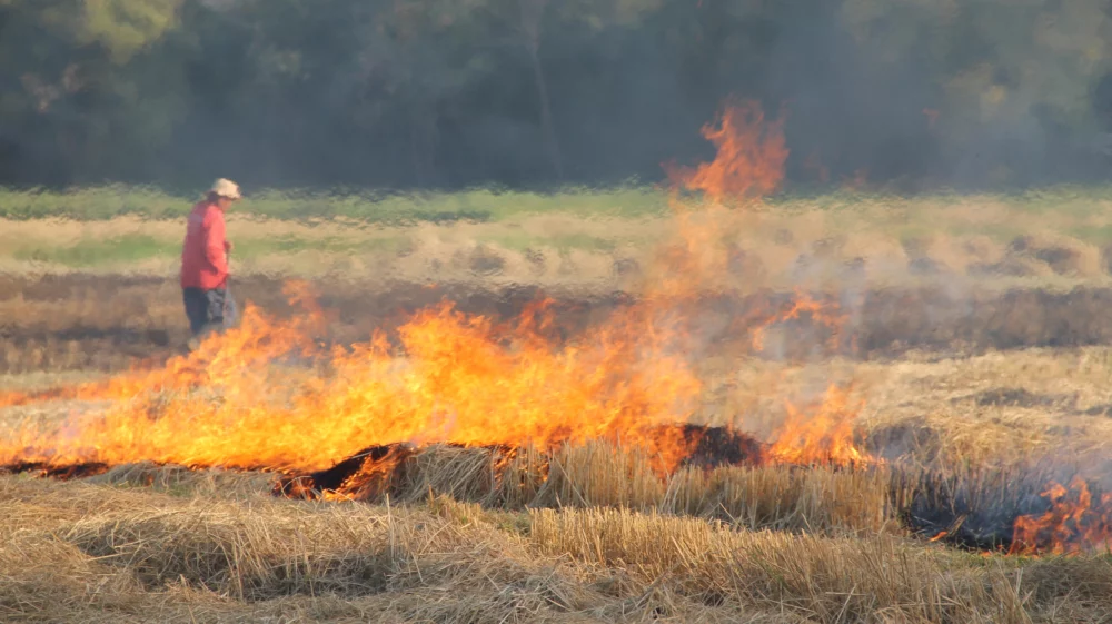 A large bright orange fire burns in the foreground in an open field. In the background, through a heat haze, a man wearing a red shirt walks through the field.