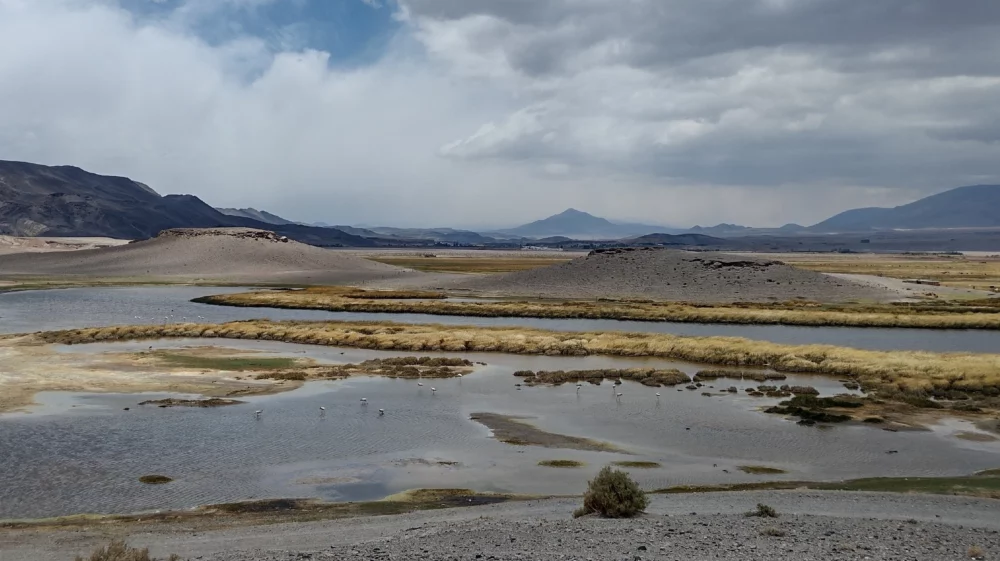 Laguna Antofagasta de la Sierra