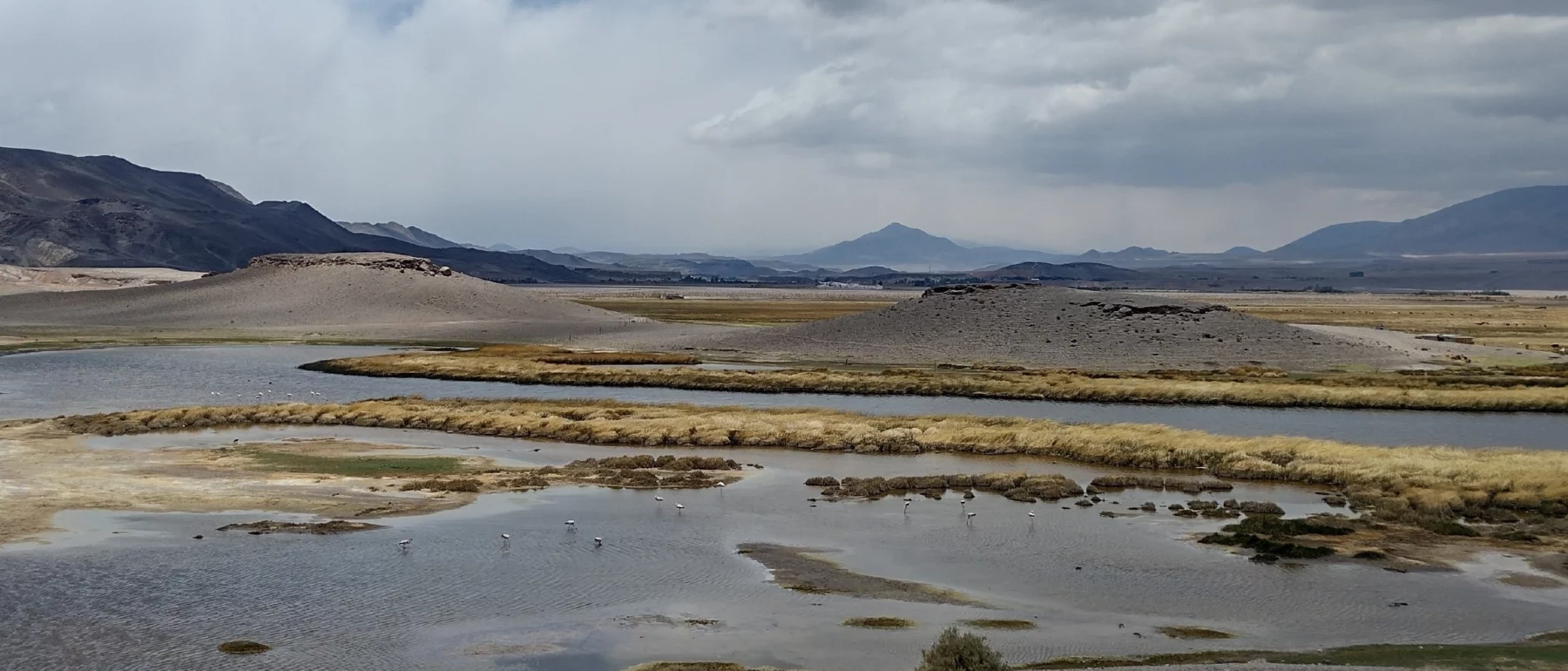Laguna Antofagasta de la Sierra