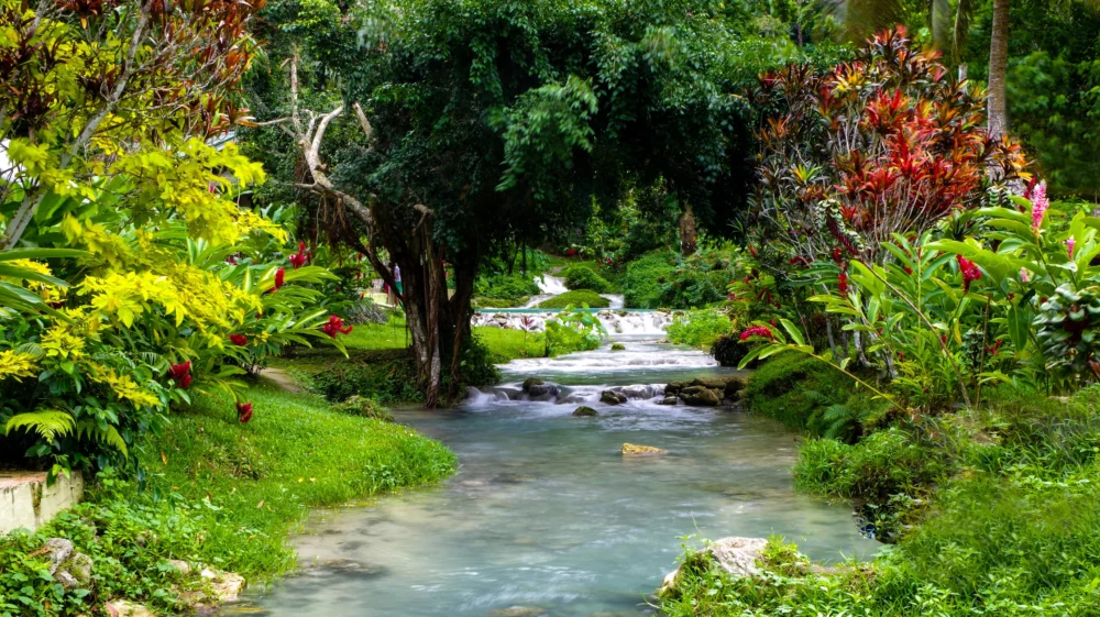 Water stream in the nature, Vanuatu
