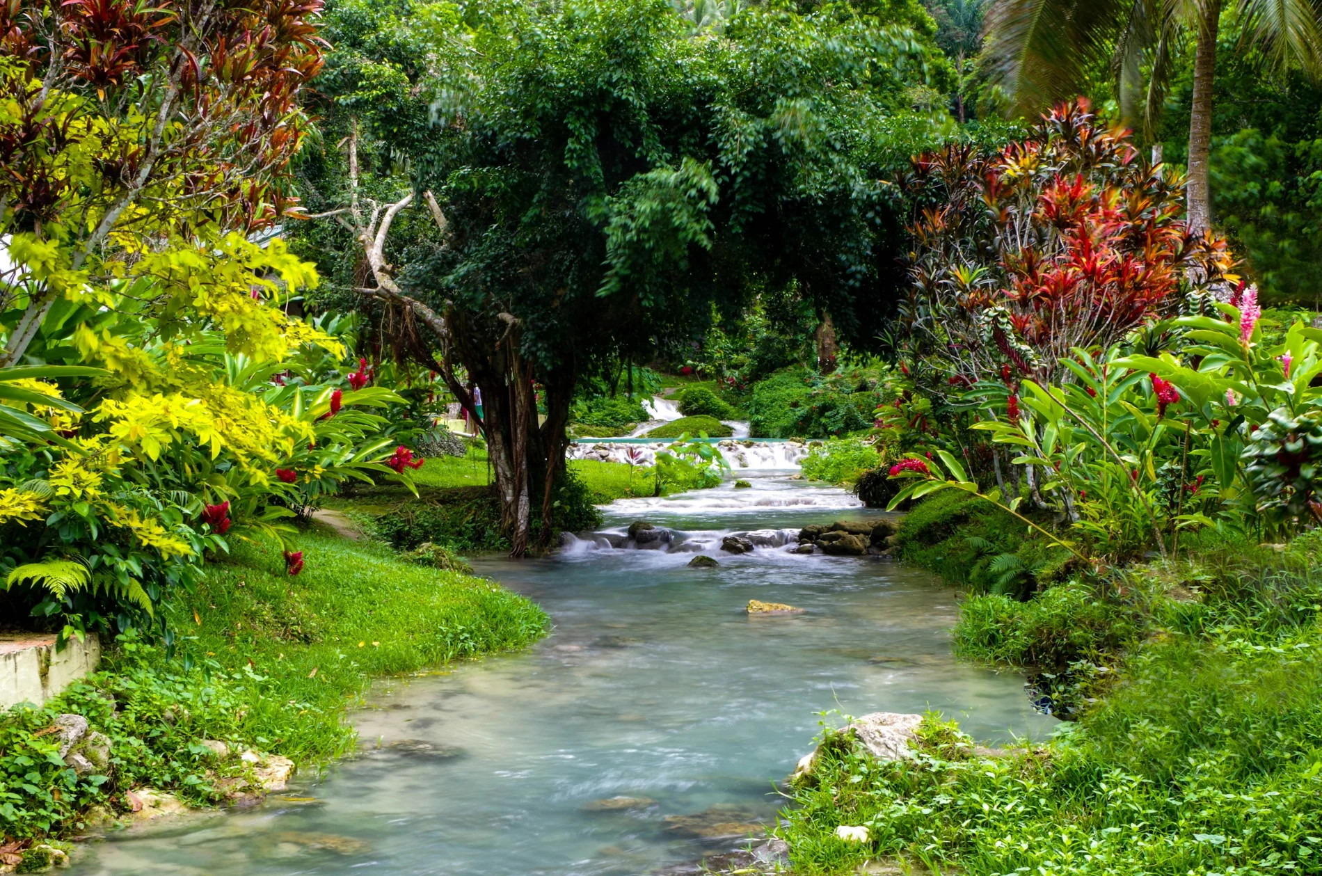 Water stream in the nature, Vanuatu