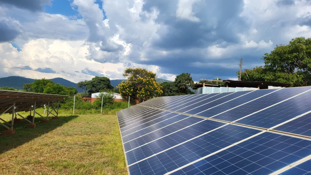 Rows of solar panels in a field under a bright blue sky, capturing renewable energy from the sun.