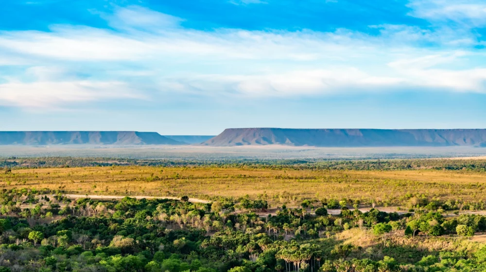 A wide panorama with flat rock formations in the background and savanna grassland in the foreground.
