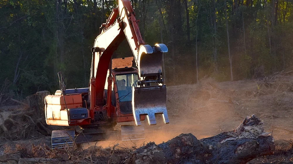 A large orange grab excavator manoeuvres through a forest clearing. Its claw is outstretched towards the camera, reaching to pick up a large tree trunk in the front of the shot.