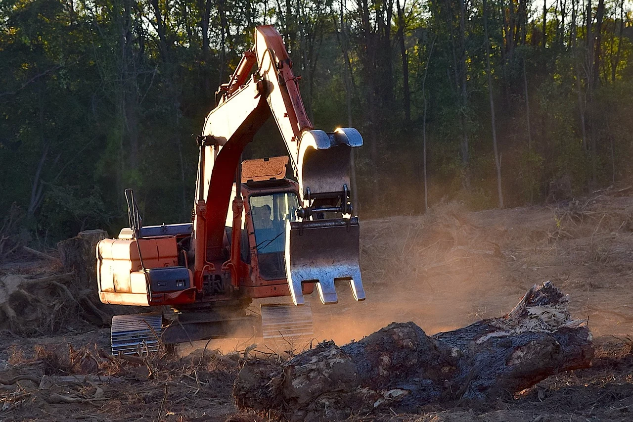 A large orange grab excavator manoeuvres through a forest clearing. Its claw is outstretched towards the camera, reaching to pick up a large tree trunk in the front of the shot.