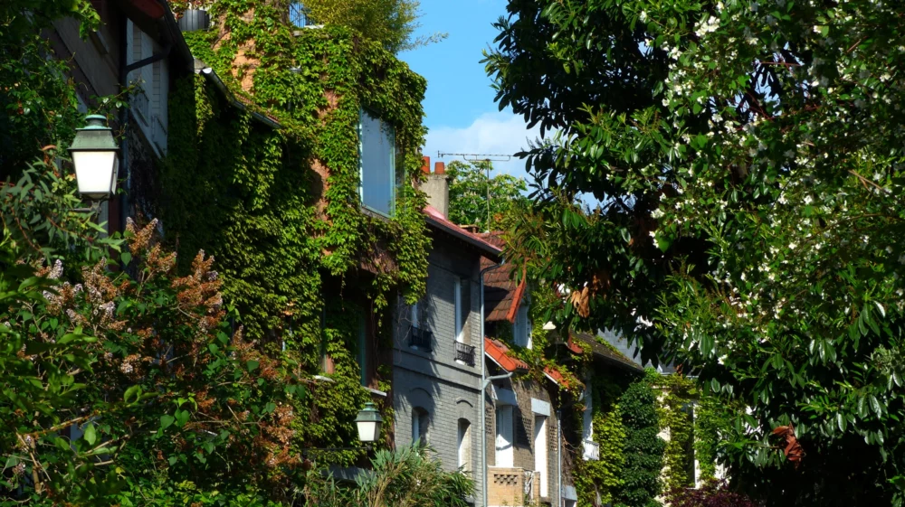 Vertical greenery on urban street