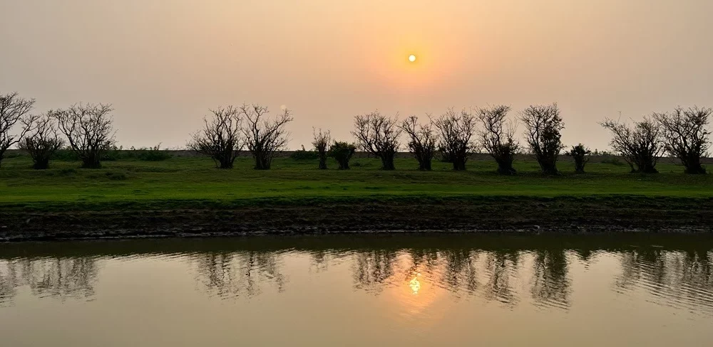 sunset
