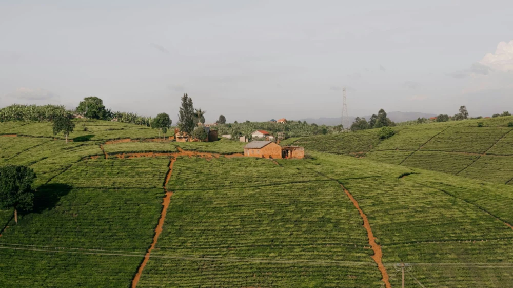 Landscape photo of a farmhouse atop a hill amid green hilly terrain in Uganda