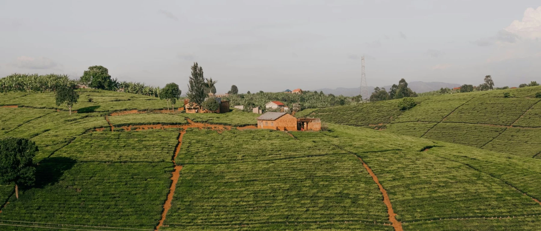 Landscape photo of a farmhouse atop a hill amid green hilly terrain in Uganda