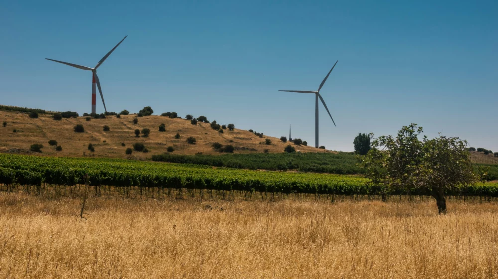 Two white wind turbines under. a blue sky in a gold and green valley