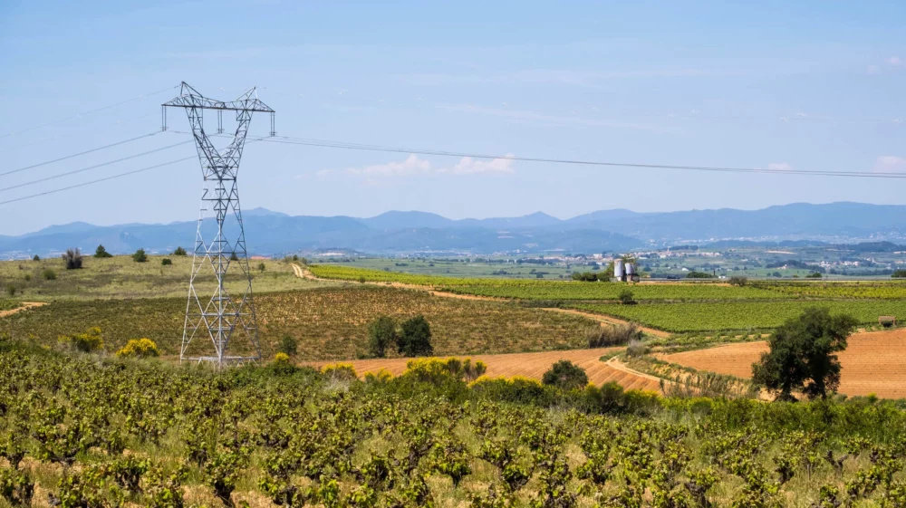 High-voltage power line tower crossing a vineyard landscape in rural Spain, with mountains visible in the background under a clear blue sky.
