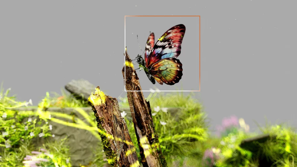 Butterfly in a rainbow square hovering above a tree stump, with pixelated green leaves.