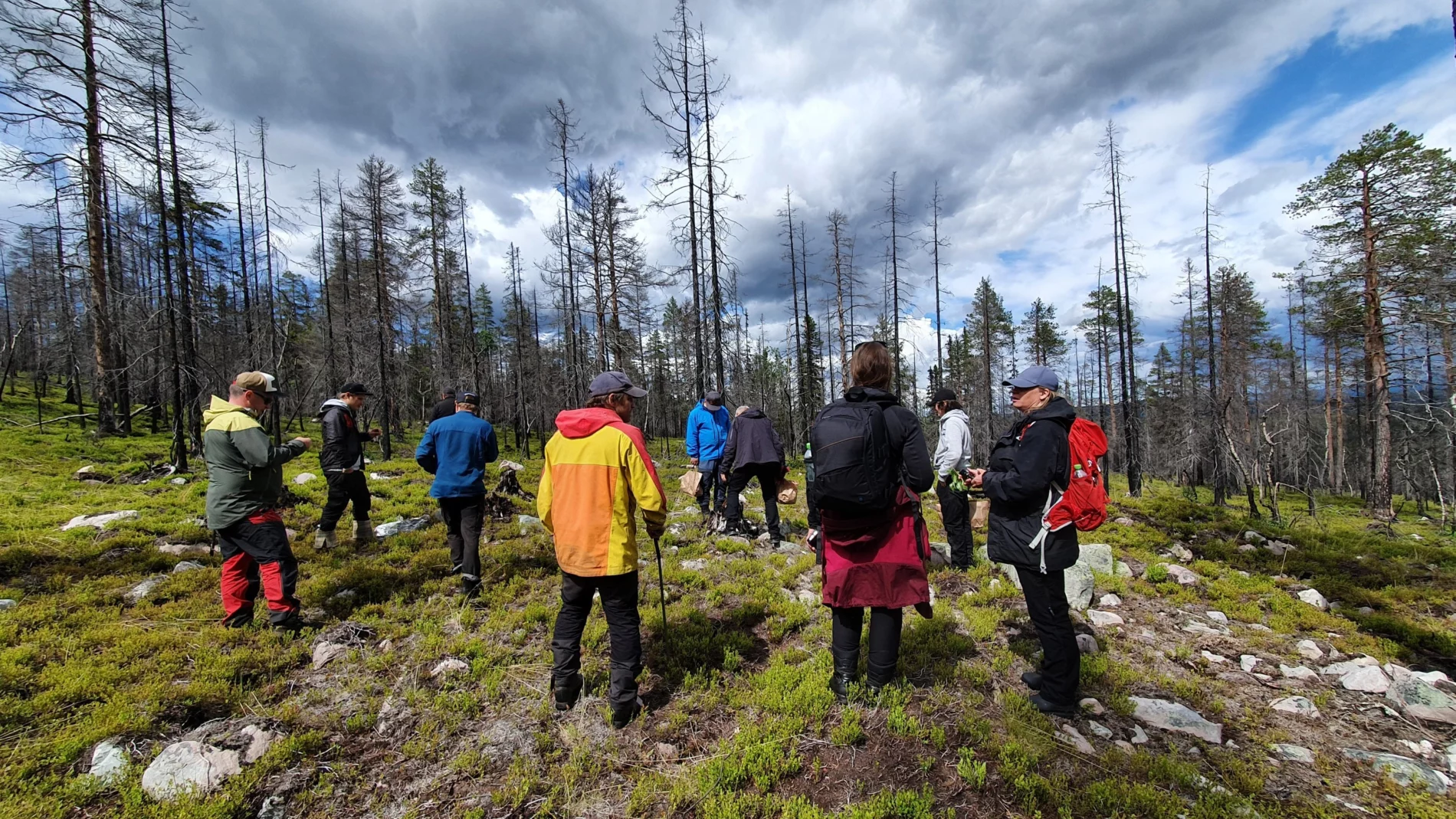 Photo: Annette Löf / SEI