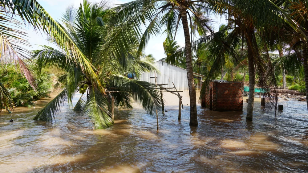 saline water intrusion