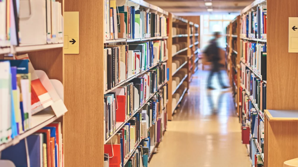 A blurred figure in the distance passes between wooden shelves packed with books.