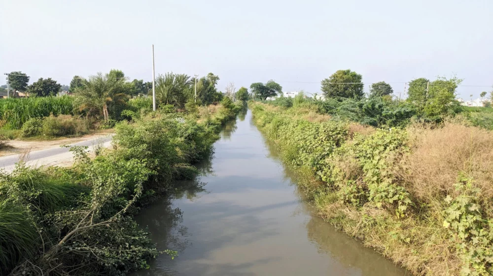 Waterway surrounded by greenery under white sky