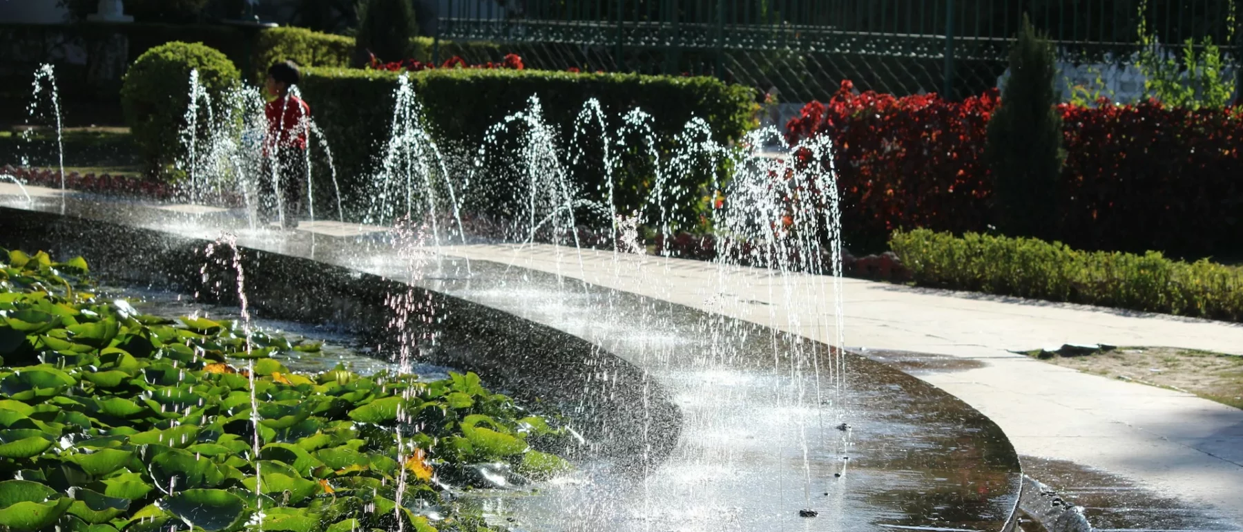 fountain