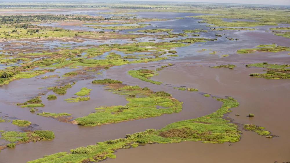 Aerial view of flood plain in Malawi's Shire Valley, consisting of brown pools punctuated by grassy green tufts of land.