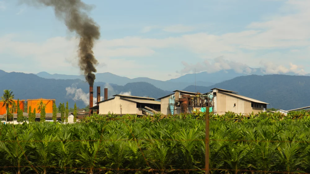 Palm oil factory in Sumatra, Indonesia.