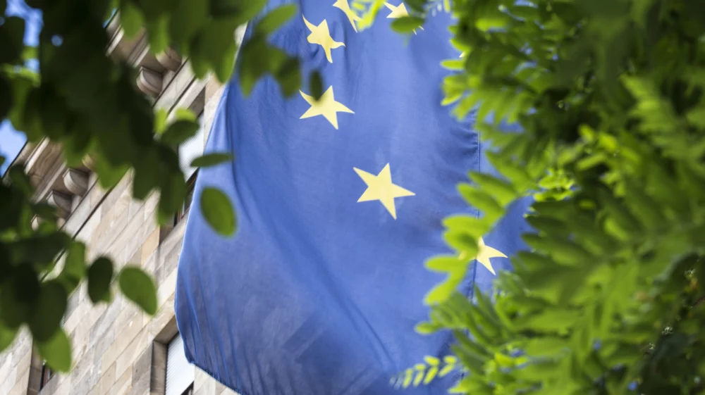 European Union flag, framed by green tree branches