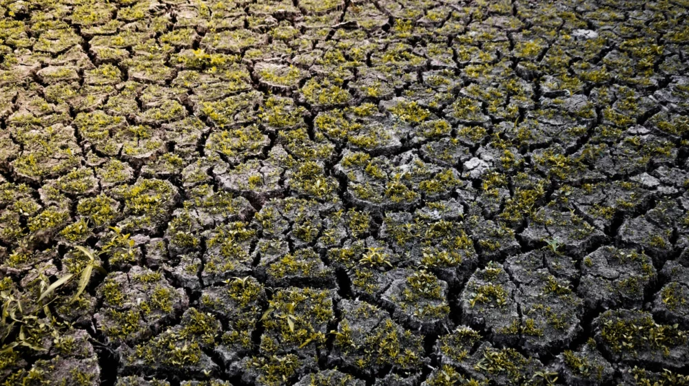 Dry and cracked floor