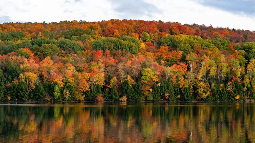 Orange and trees overlooking lake in Vermont, US.