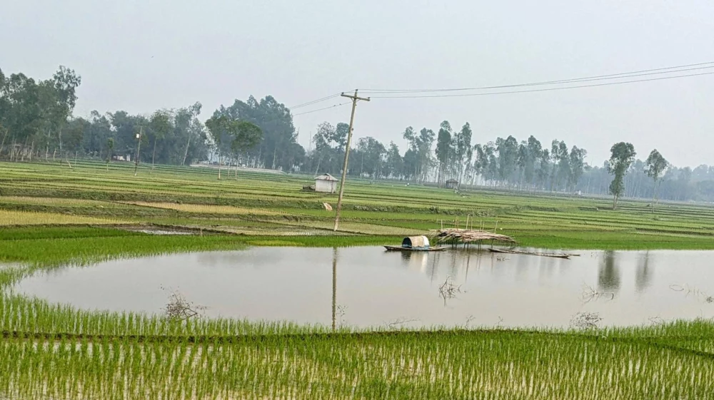 wetlands