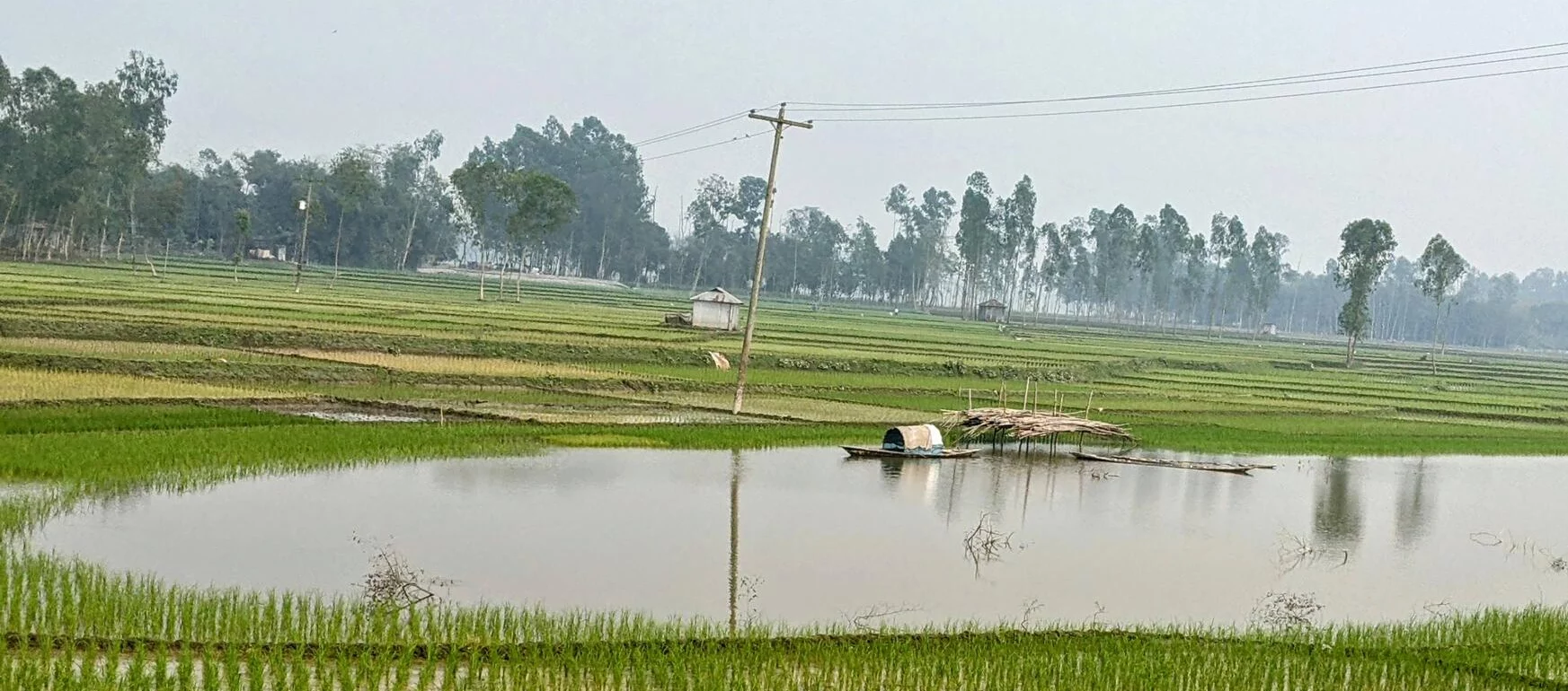 wetlands