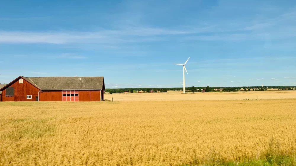 Swedish farmland with a red barn, golden fields, and a wind turbine under a clear blue sky.
