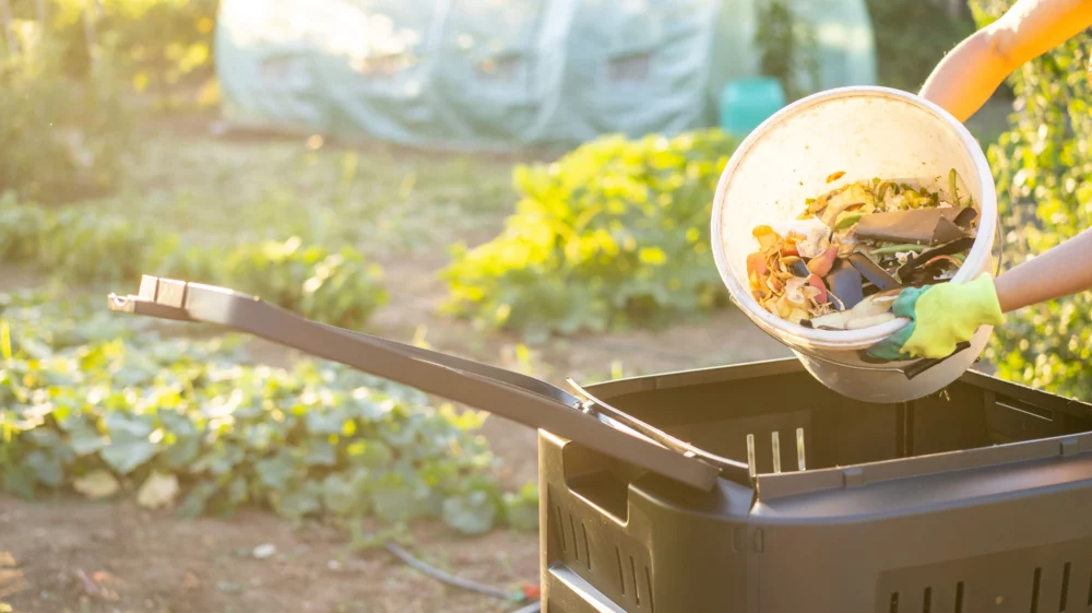 Person wearing gloves adding kitchen scraps into a compost bin in a garden.