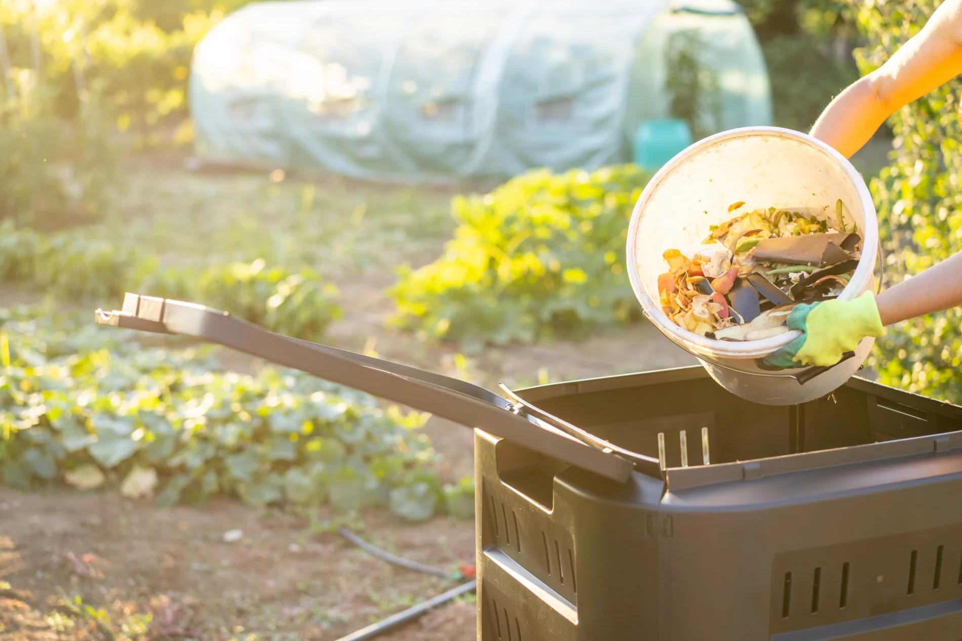Person wearing gloves adding kitchen scraps into a compost bin in a garden.