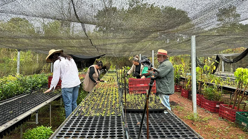 A group of women working together in a lush green herb garden in front of a small white rural building, under a cloudy sky.