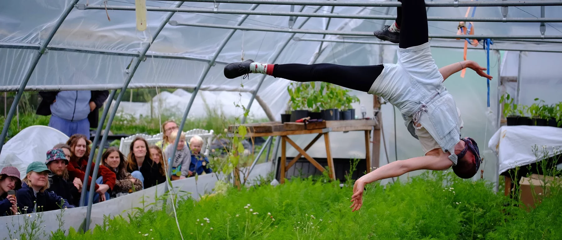 Performer suspended upside-down in a greenhouse during a dance or circus act, with an audience seated among green plants watching attentively.