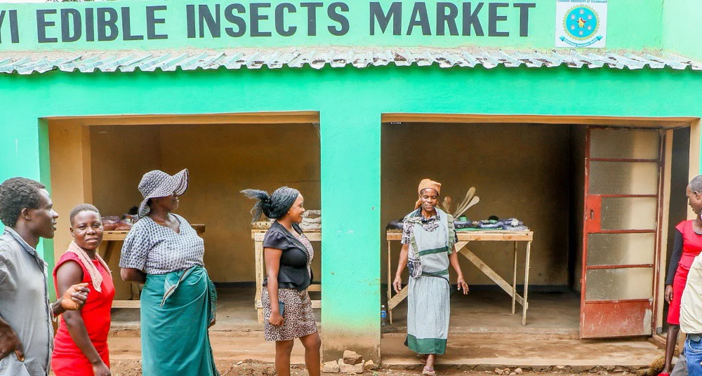 A group of people gather outside the Chinhoyi Edible Insects Market in Zimbabwe, standing in front of green-painted stalls displaying insect products.