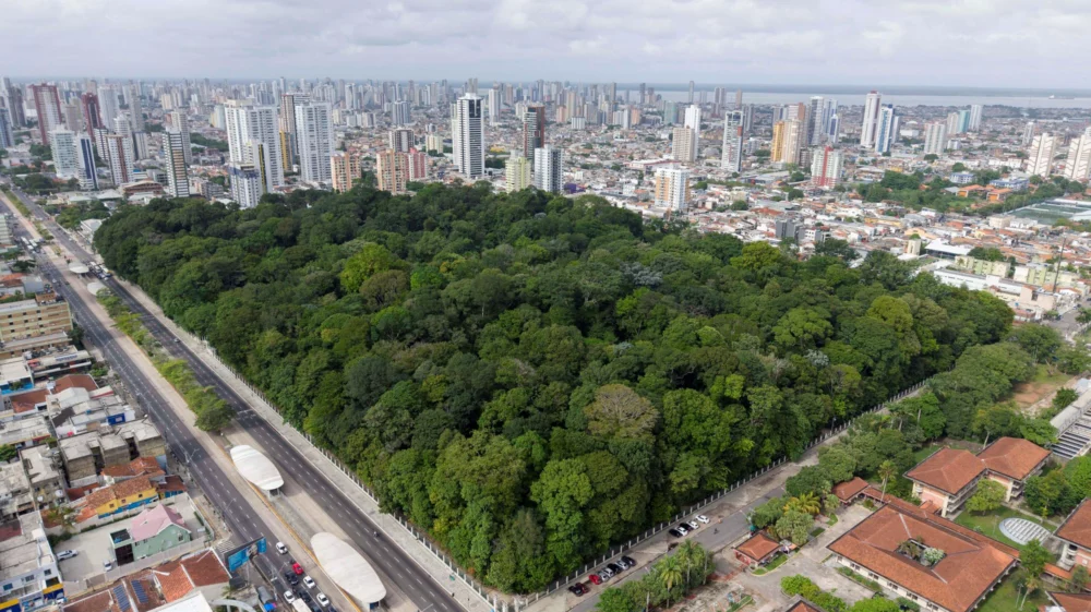 Partial view of Belem, with the Rodrigues Alves public botanic garden in the foreground.